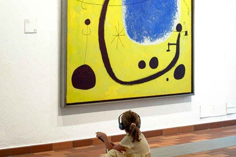 Fundació Joan Miró: Skip The Line Ticket