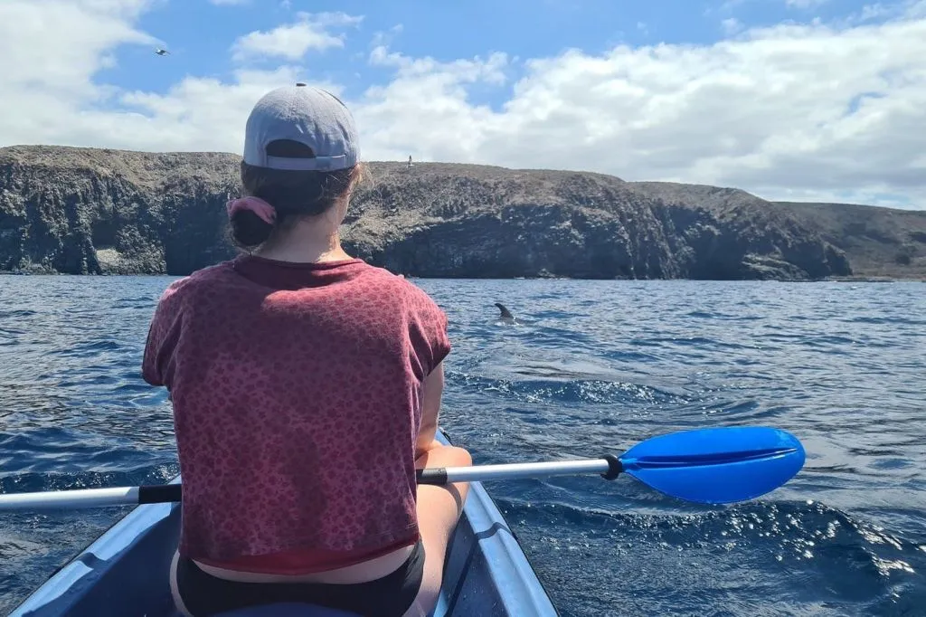 Los Cristianos: Excursión guiada en kayak