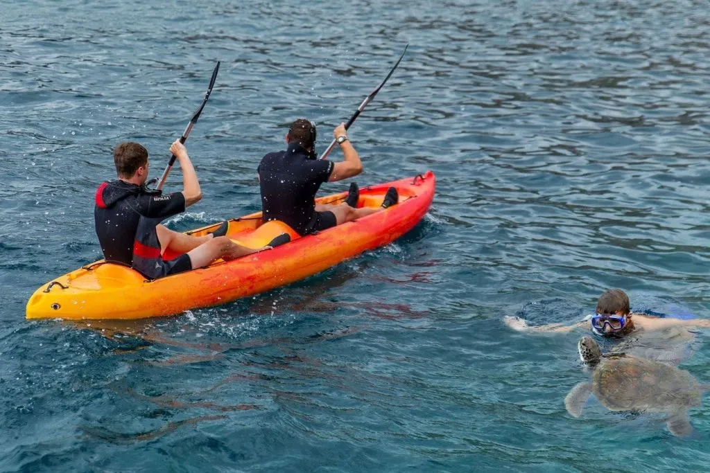 Los Cristianos: Excursión guiada en kayak