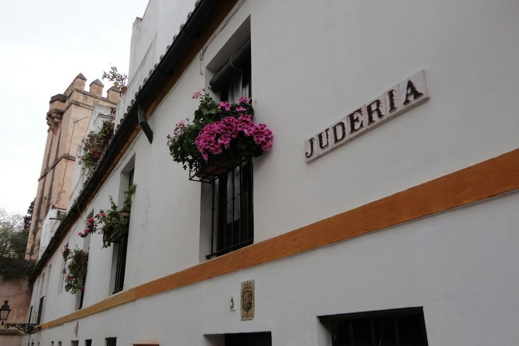 Seville: Guided Evening Historical Tour