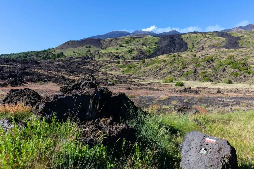Monte Etna: Gita guidata di un giorno da Taormina + trasferimento andata e ritorno