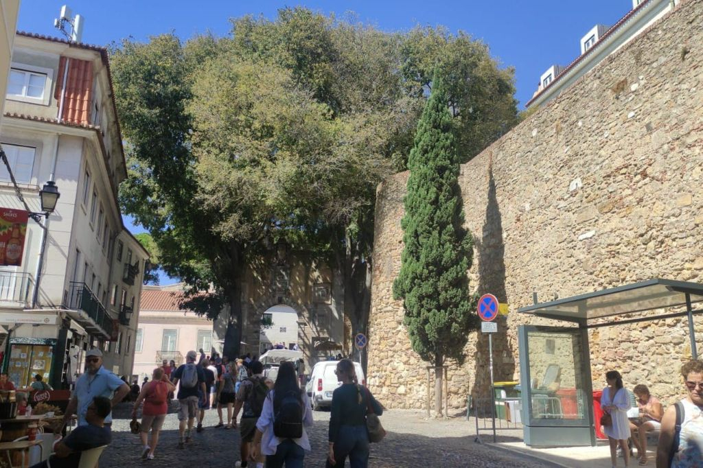Castelo de São Jorge: Entry Ticket + English or Spanish Guided Tour