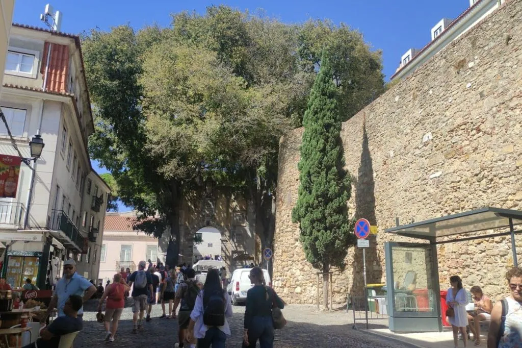 Castelo de São Jorge: Entry Ticket + English or Spanish Guided Tour