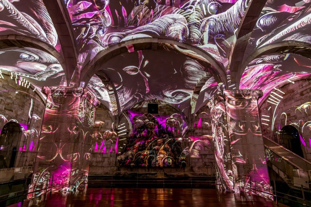 Porto: Dali Cybernetics Exhibition Entry Ticket