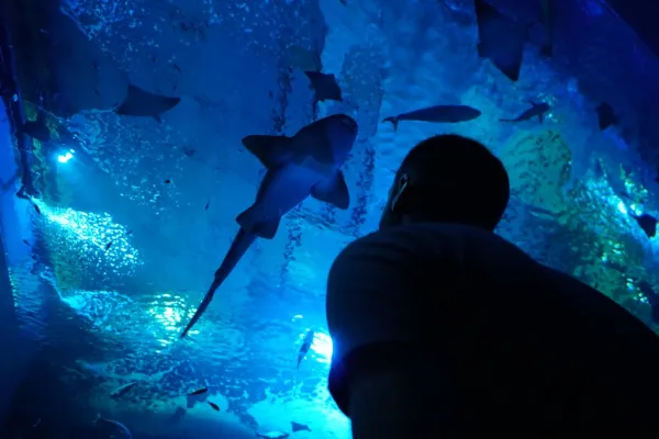 Acquario di Siviglia