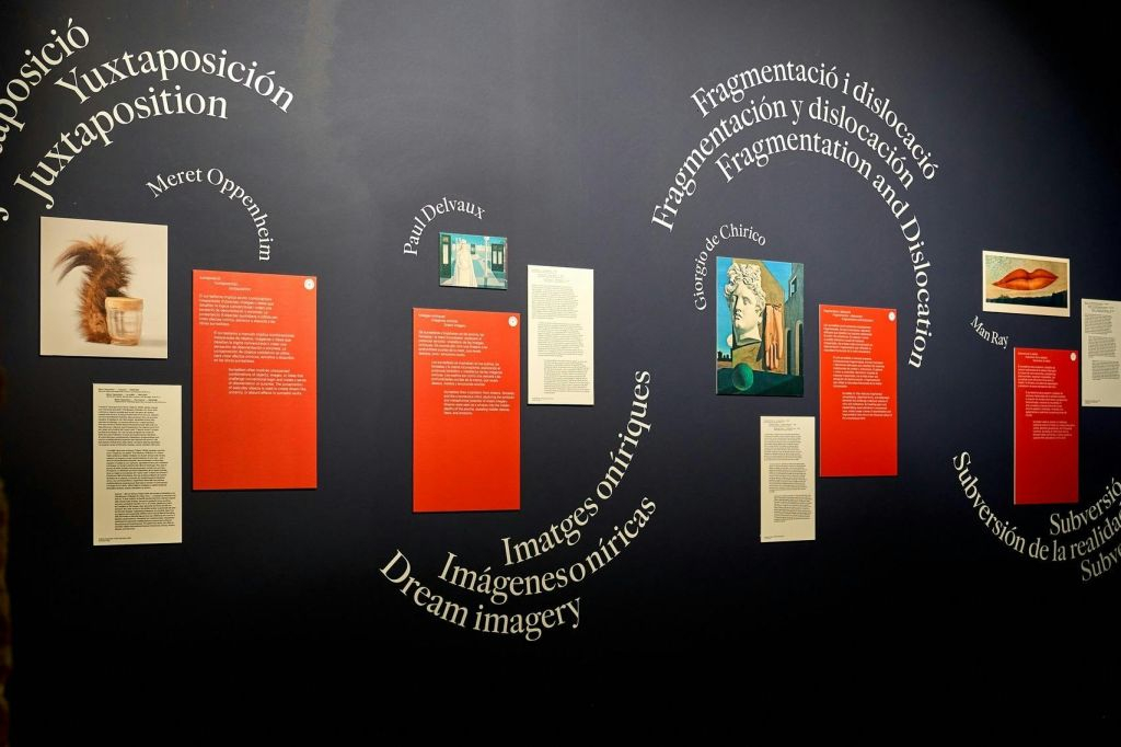 Museum NOU: SUR PLAY Exhibition Entry Ticket