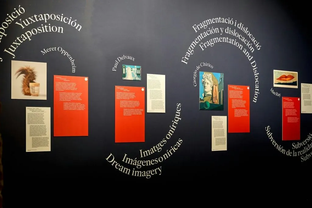 Museum NOU: SUR PLAY Exhibition Entry Ticket