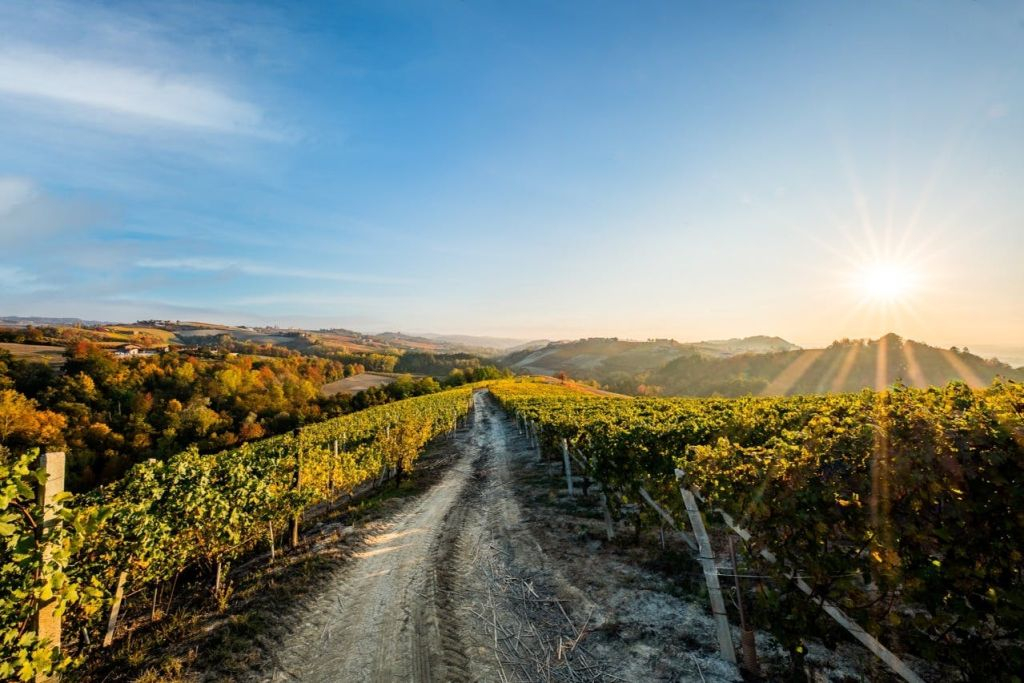 Cantina Moscone: Tour e degustazione della cantina