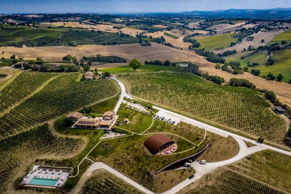 Cantina Filodivino: Visita guidata e degustazione di vini