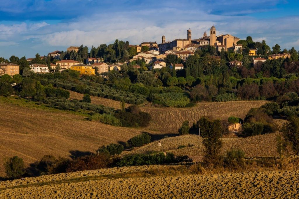 Domaine viticole Filodivino : Visite guidée et dégustation de vin