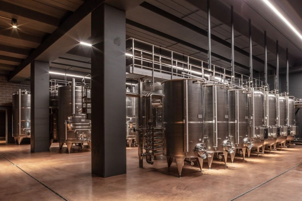 Domaine viticole Filodivino : Visite guidée et dégustation de vin