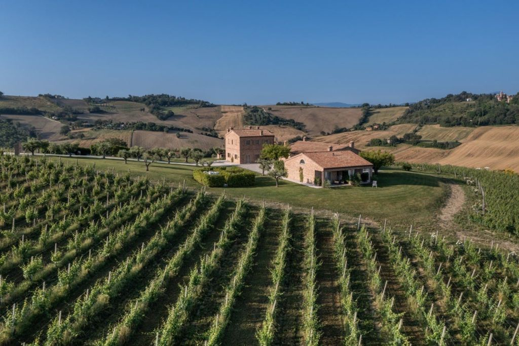 Domaine viticole Filodivino : Visite guidée et dégustation de vin
