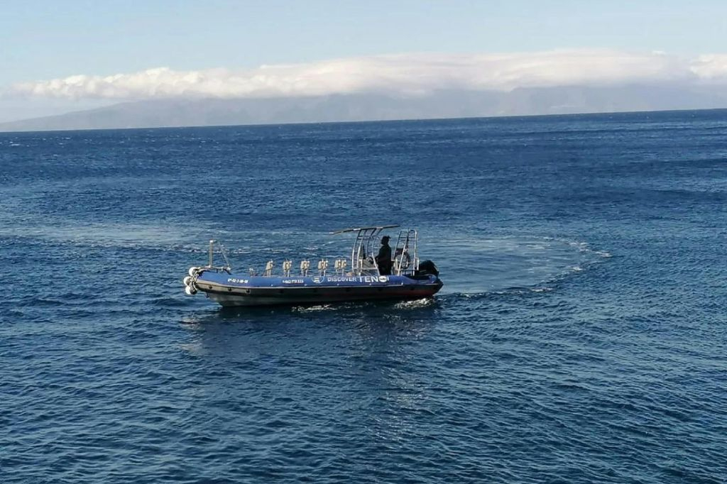 Punta De Teno: Excursión en barco desde Los Gigantes + Snorkel + Bebidas