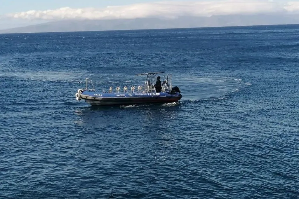 Punta De Teno: Excursión en barco desde Los Gigantes + Snorkel + Bebidas
