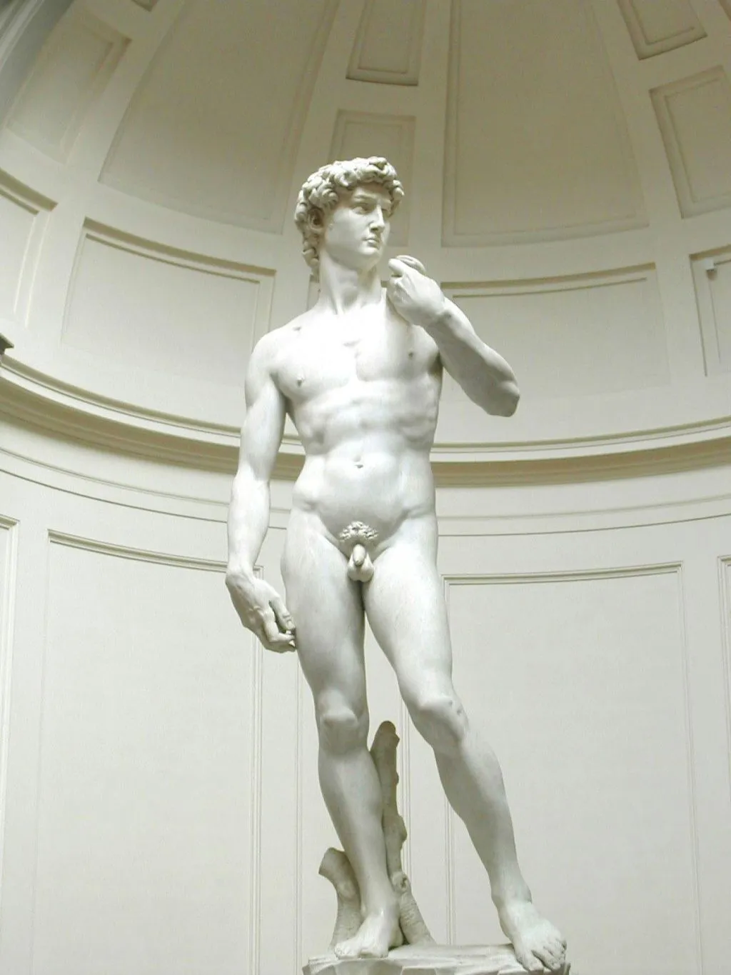 Florence Medici Pass