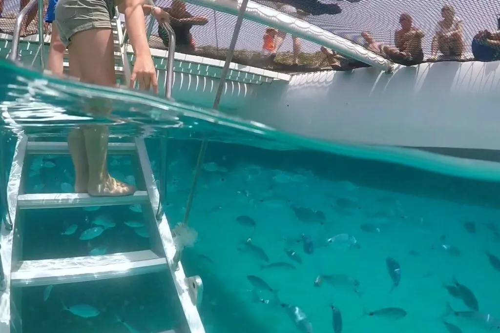 Cap Norfeu y Cadaqués: Excursión en velero desde Roses