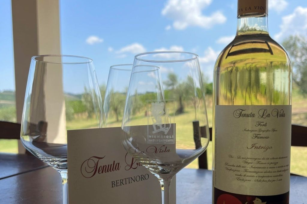 Tenuta La Viola: Visita guidata e degustazione di vini