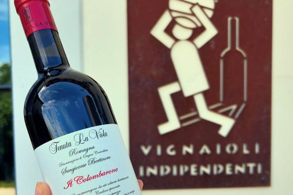 Tenuta La Viola: Visita guidata e degustazione di vini