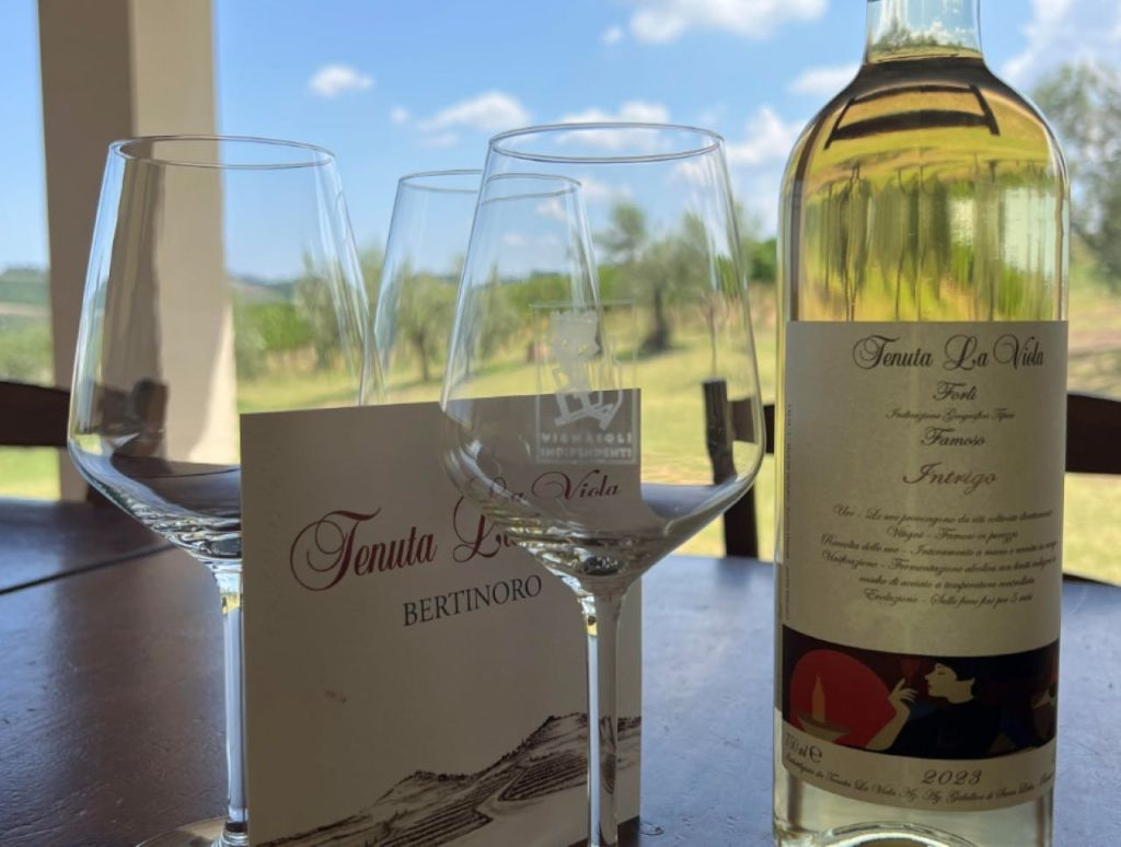 Tenuta La Viola: Visita guidata e degustazione di vini