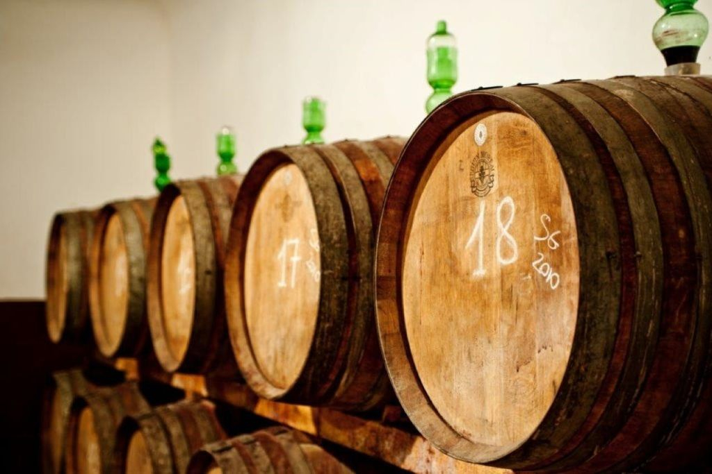 Tenuta Bossi: Guided Tour + Wine Tasting