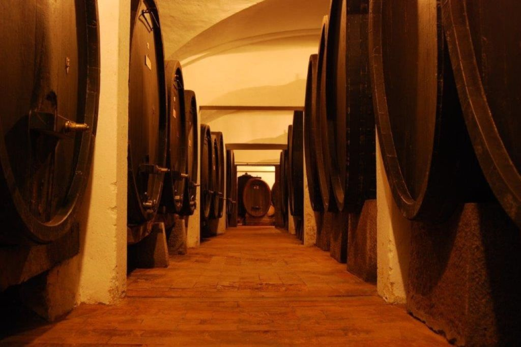 Tenuta Bossi: Guided Tour + Wine Tasting
