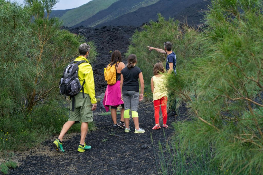 Monte Etna: Passeio guiado de um dia saindo de Catânia