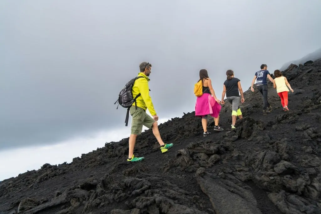 L'Etna: Gita guidata di un giorno da Catania