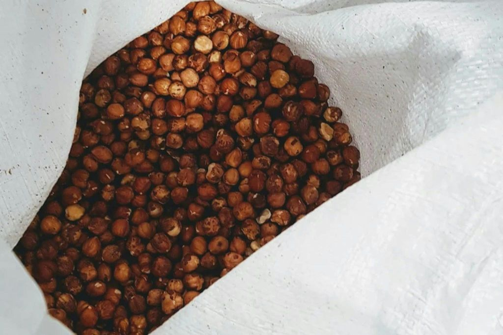 Turin: Guided Chocolate Factory Tour + Tasting
