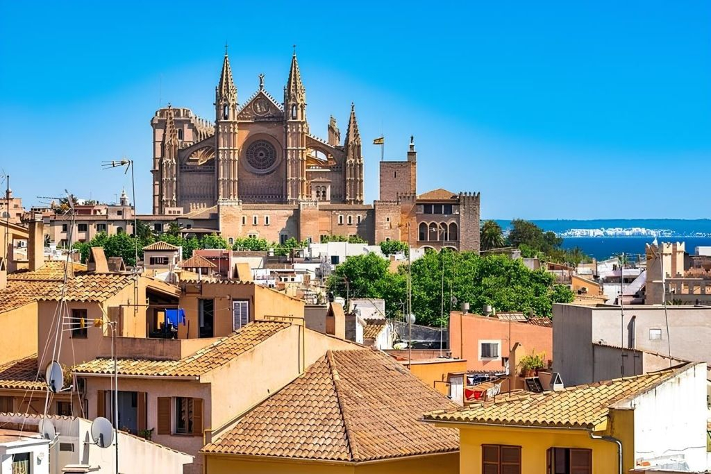 Palma de Mallorca: Passeio particular a pé pelas atrações imperdíveis