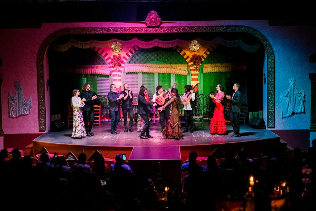 Seville: Flamenco Dress Museum + Show + Dinner + Transfers