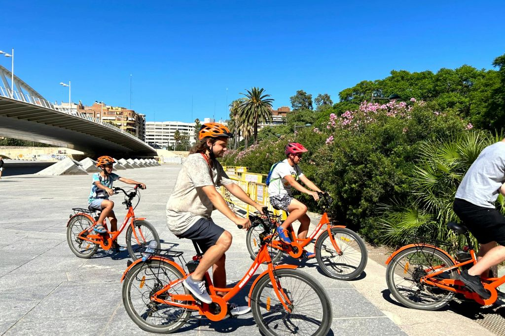Valencia: Small-Group Guided E-bike Tour