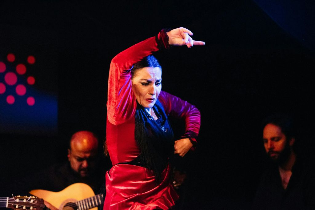 Séville : Visite guidée de la gastronomie + spectacle de flamenco