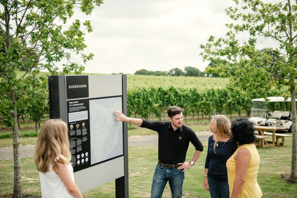 Kent: Tour guidato con degustazione di vini da Londra