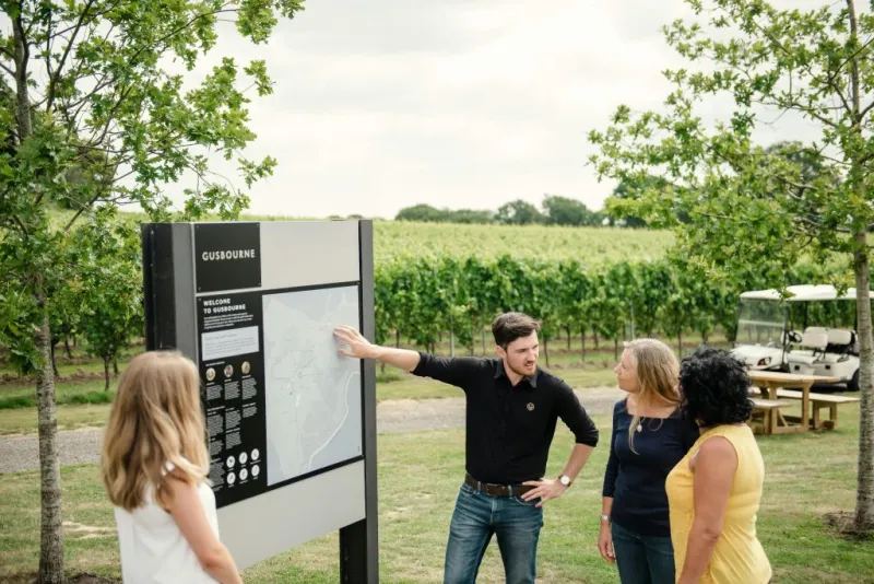 Kent: Guided Wine-Tasting Tour from London