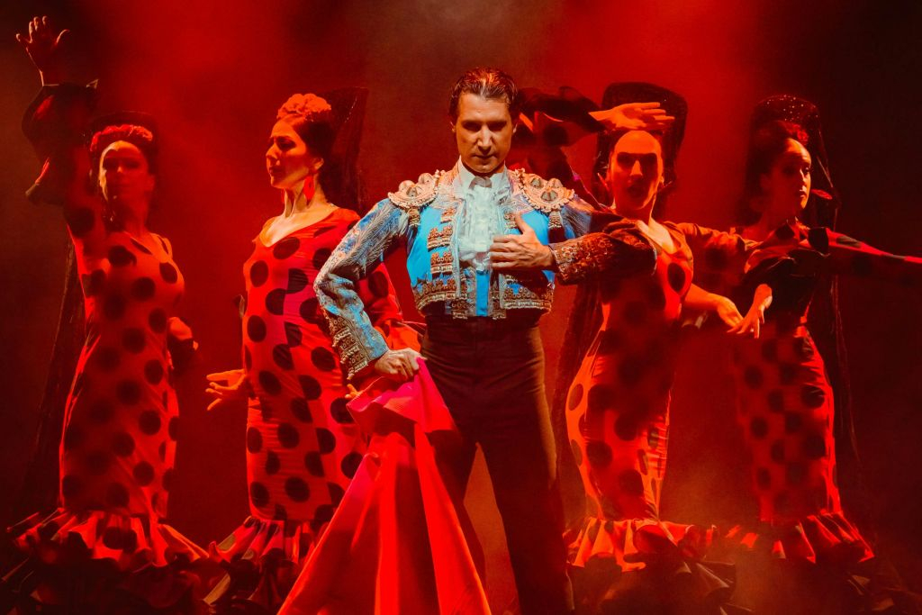 Costa Adeje: Spettacolo di flamenco Olé