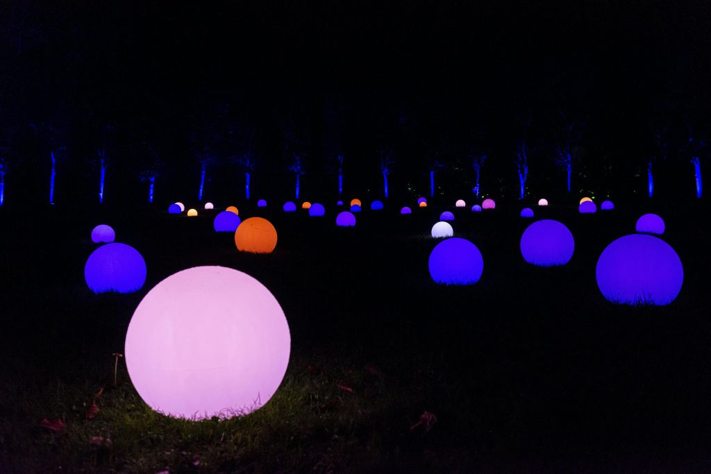 Les Llums de Vivers: Christmas Garden