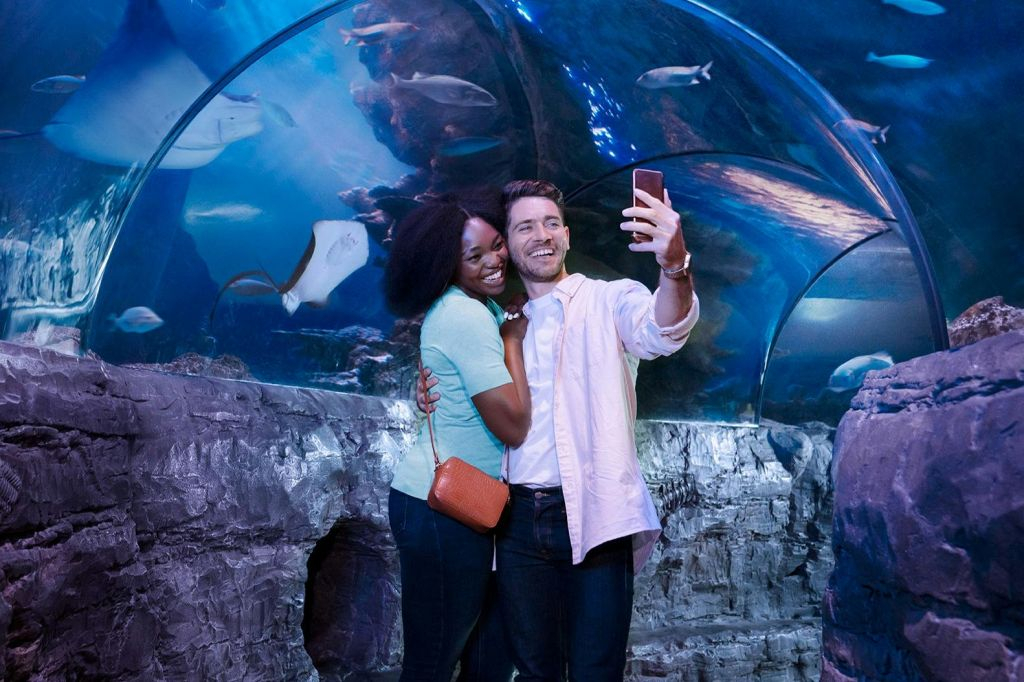 Acquario SEA LIFE di Londra: Biglietto d'ingresso