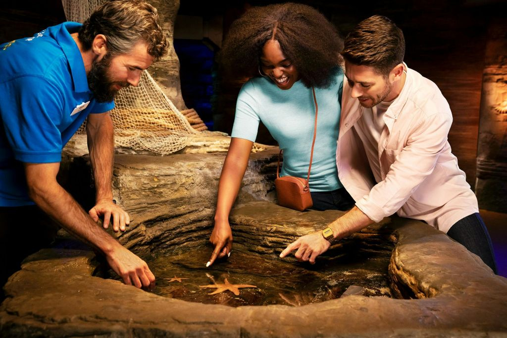 Acquario SEA LIFE di Londra: Biglietto d'ingresso