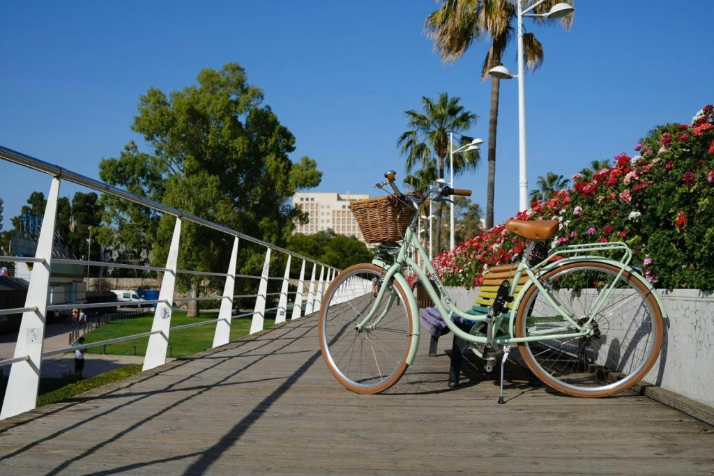 Valencia: Audio-Guided Bike Tour