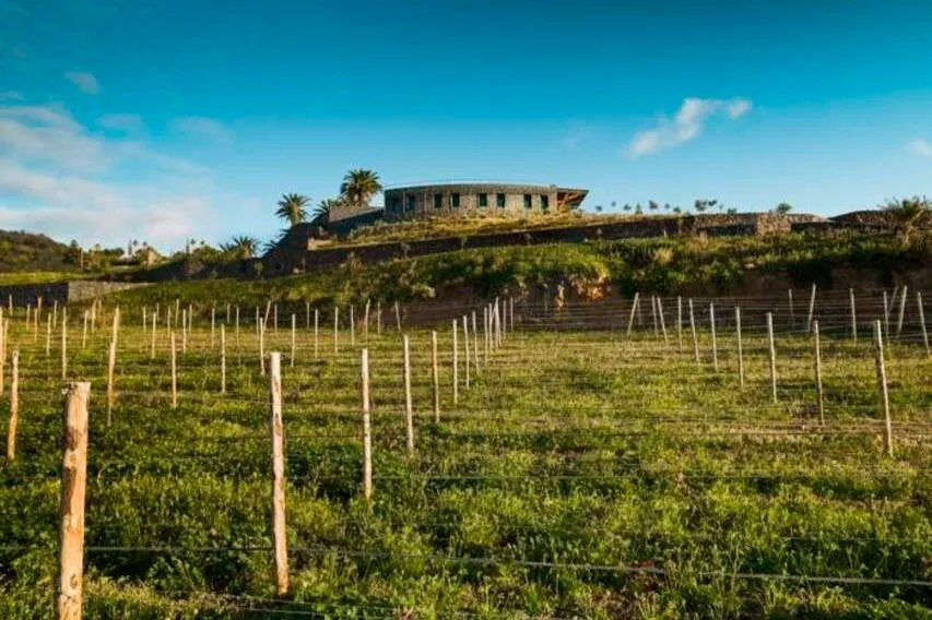 Bodegas El Sitio: Guided Winery Tour + Tastings