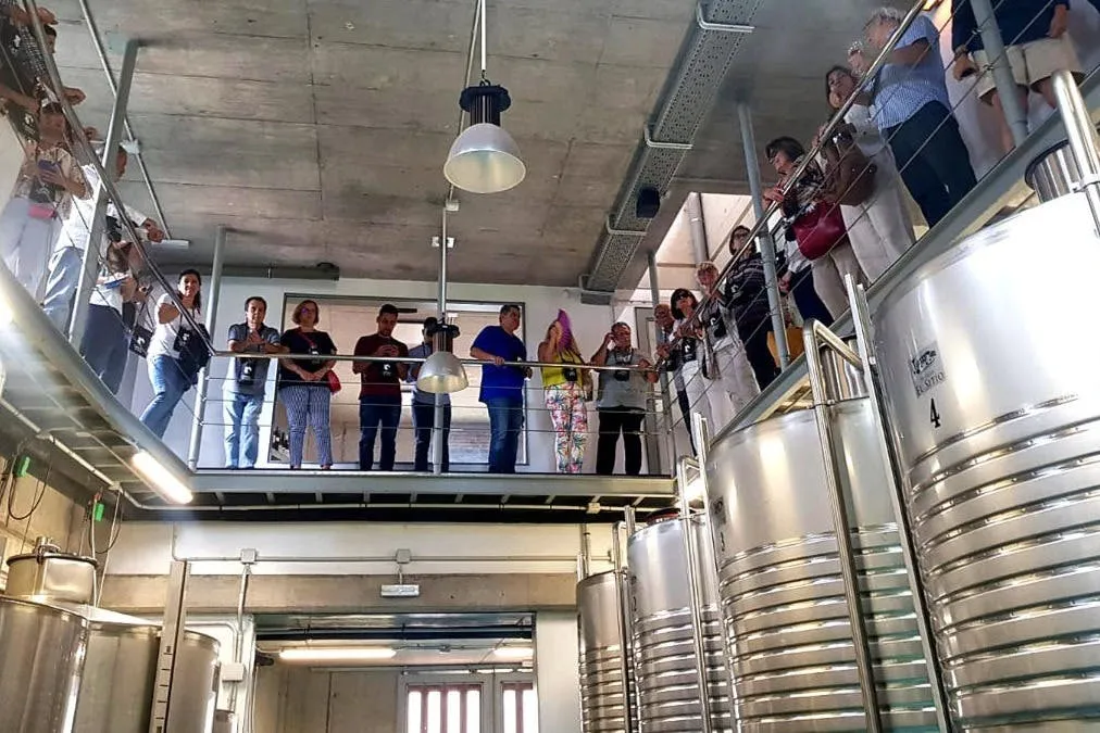 Bodegas El Sitio: Guided Winery Tour + Tastings