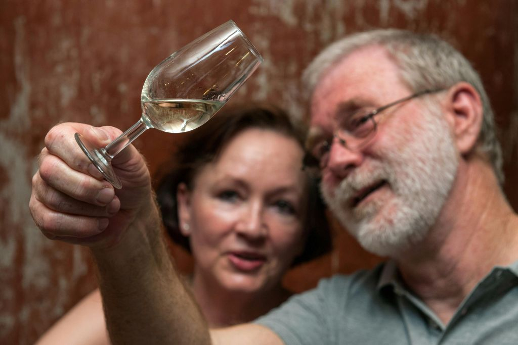 Seville: Tapas, Taverns and History Guided Tour