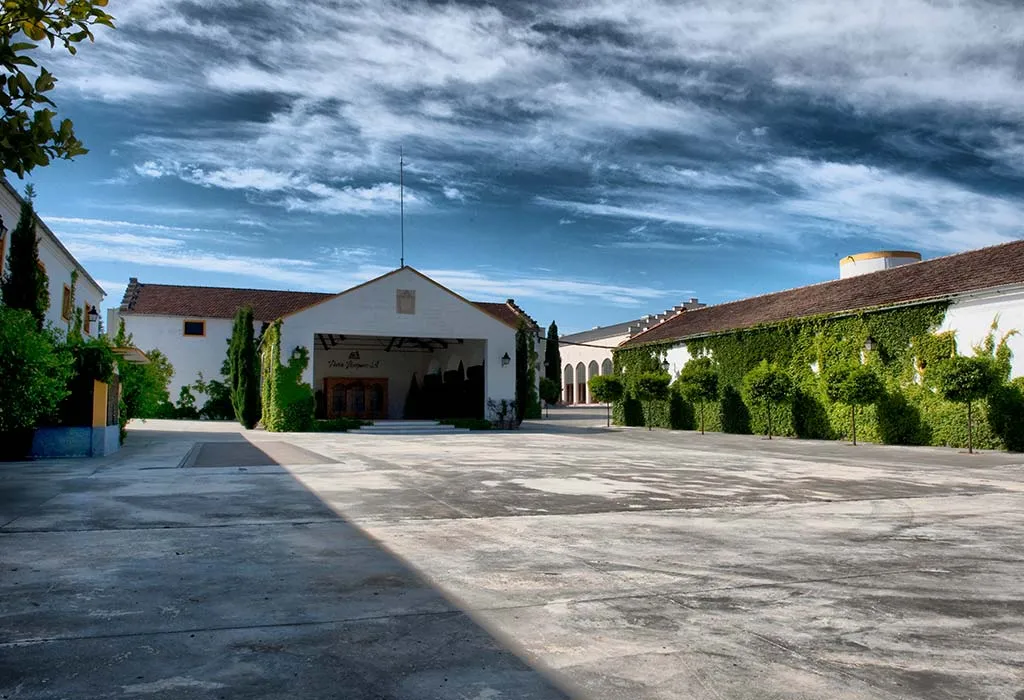 Bodega Pérez Barquero en Montilla (Córdoba)