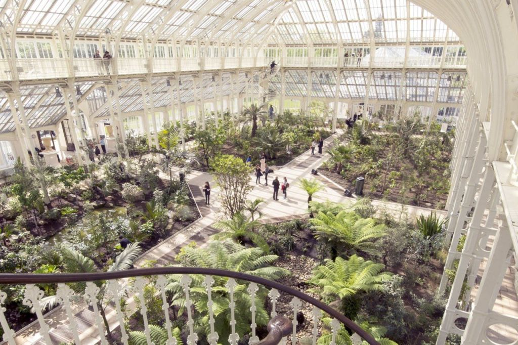 Londra: Tour guidato a piedi di Westminster + ingresso ai Kew Gardens