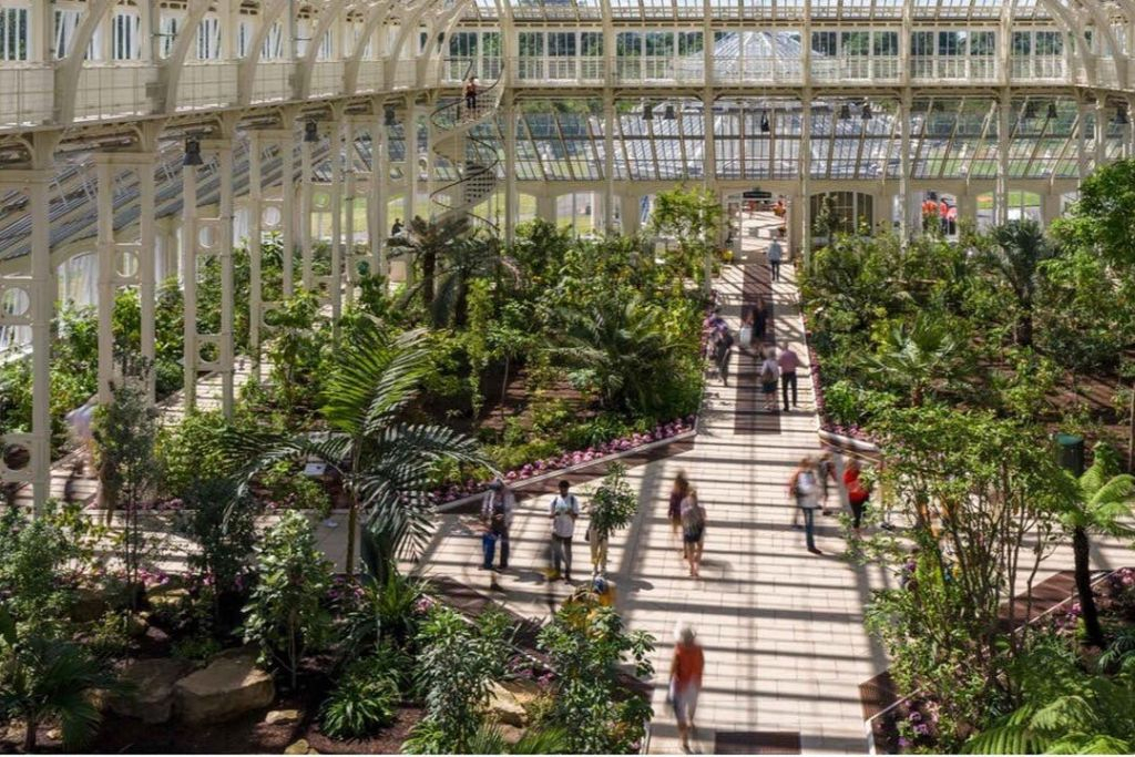 Londra: Tour guidato a piedi di Westminster + ingresso ai Kew Gardens