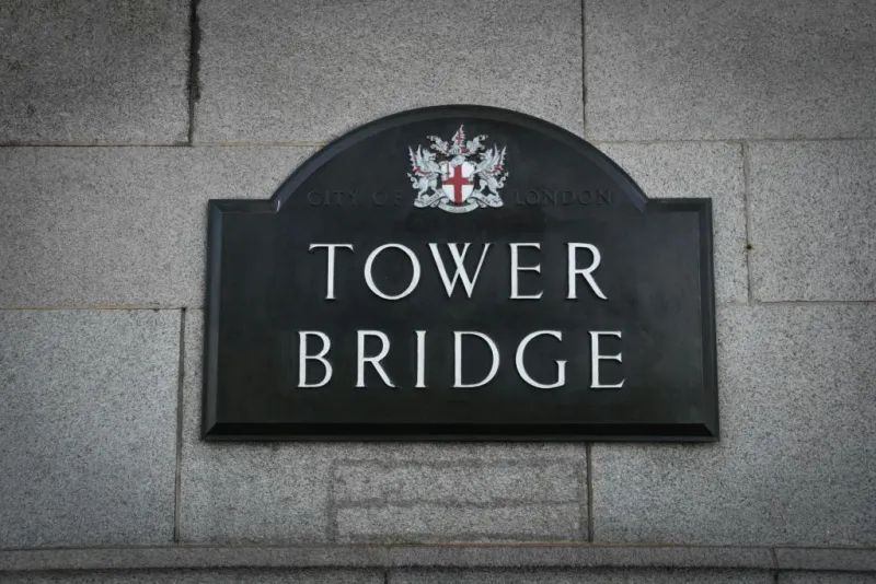 London: Westminster Guided Walking Tour + Tower Bridge Entry