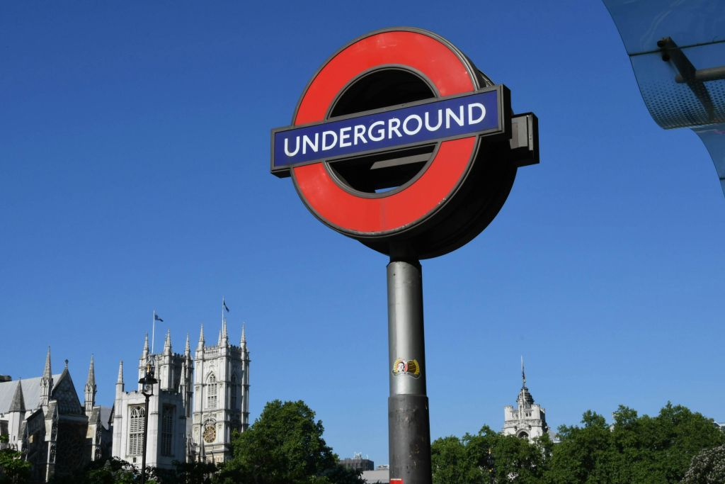 London: Westminster Guided Walking Tour + Tower Bridge Entry