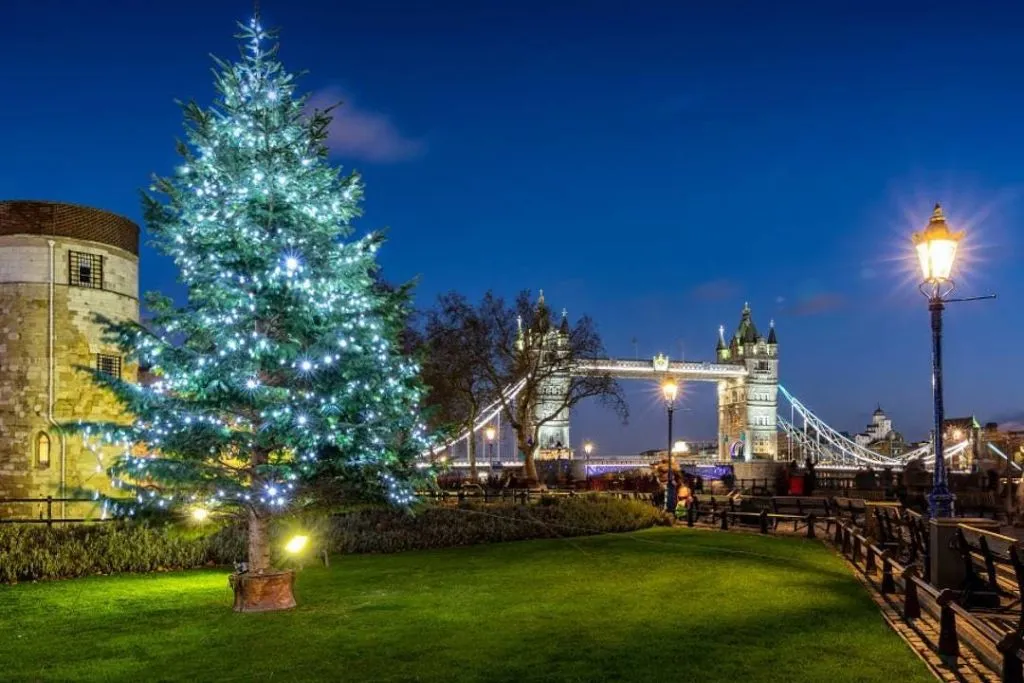 London: Christmas Lights Guided Night Tour