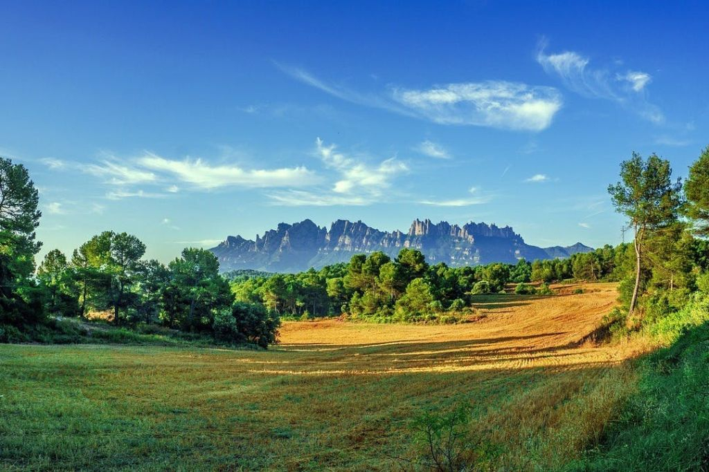 Montserrat: Half-Day Guided Tour from Barcelona