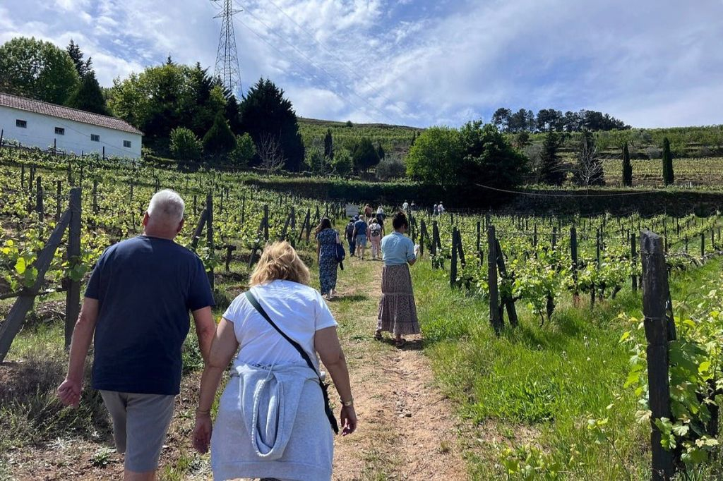 Vale do Douro: Tour de degustação de vinhos com visita a Lamego e Pinhão
